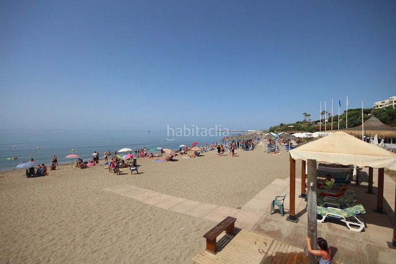 Foto 75aa7081-97e6-4c44-8d16-5b511ac43588. Estudi a Alcantarilla