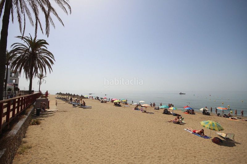 Foto fc324712-2430-407d-94da-40e4cf33c3ef. Estudi a Alcantarilla