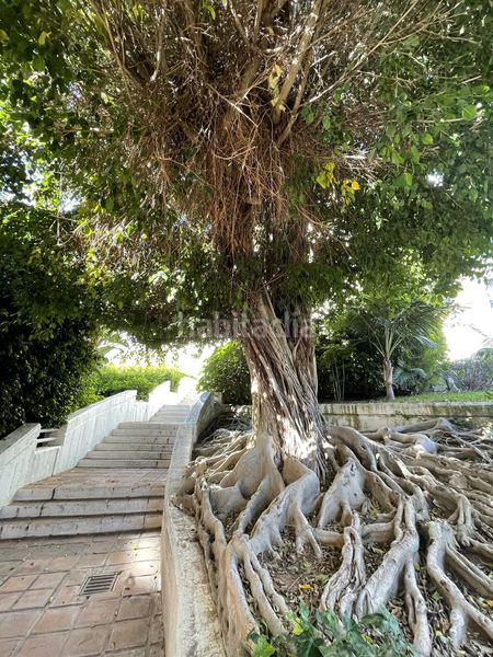 Foto 12bc4d25-bc29-44e5-b178-b19f76b4d3e0. Planta baixa amb piscina a Cabopino - Artola Marbella