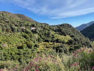 Masia a Ojén pueblo