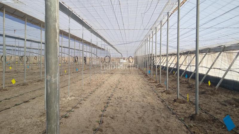 Foto 2eb75d9a-f4a5-42ea-a4b5-e1d4ee150a40. Rural plot in Nijar Pueblo Níjar