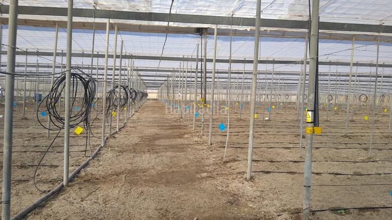 Foto 5068f935-e8b9-42a5-91bb-08f59a9c2abe. Rural plot in Nijar Pueblo Níjar