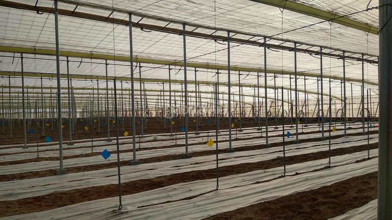 Foto 73e1eef0-a1db-4998-b1de-d1e0047d36b6. Rural plot in Nijar Pueblo Níjar