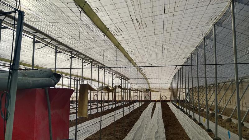 Foto c5c7d4da-6e92-497f-b55d-a1f8208278db. Rural plot in Nijar Pueblo Níjar