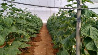 Finca rústica a Nijar Pueblo. En venta 183.000 m2 de terreno