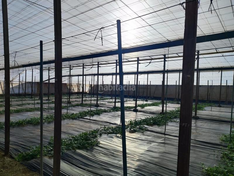 Foto 03b01f47-0917-486c-bf62-ee5c2a5b268f. Rural plot in Nijar Pueblo Níjar