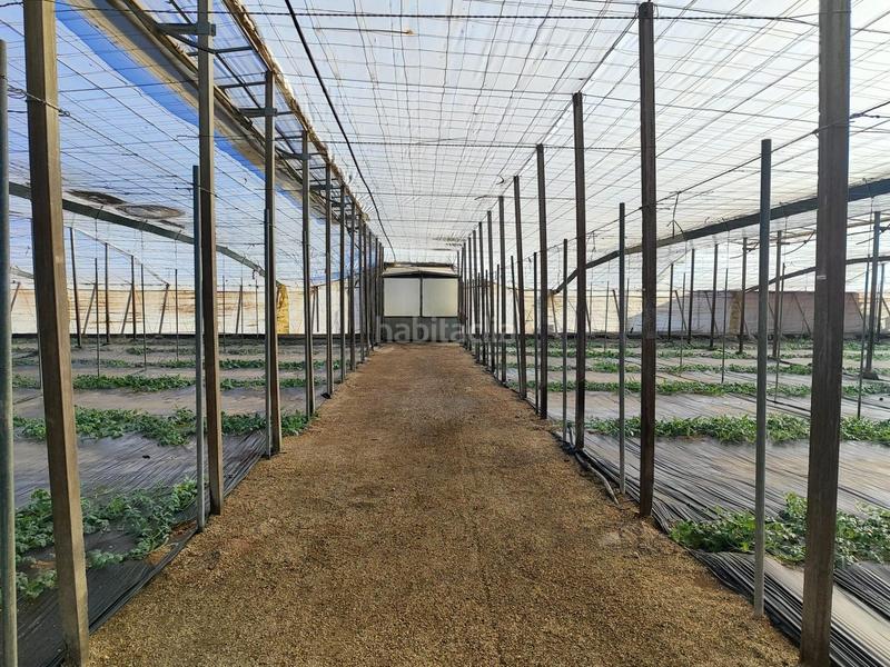 Foto 6247867c-4e5f-4fc3-86a5-d0b1668b0262. Rural plot in Nijar Pueblo Níjar