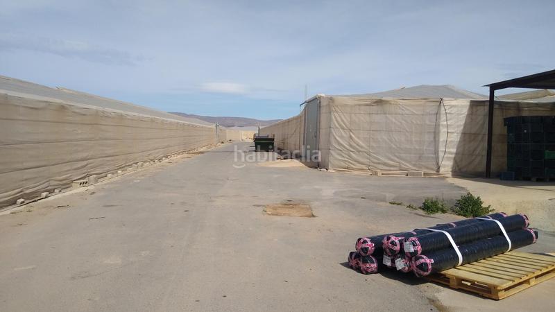 Foto 088ab3f0-021e-426c-84ad-46b7e20fb059. Finca rústica a San Isidro - Campohermoso Níjar