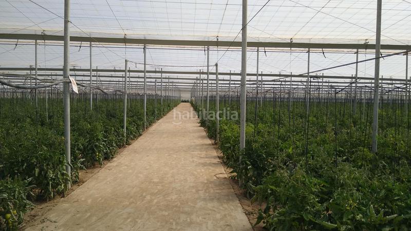 Foto c57b121e-dea8-4d15-becb-9fb1d30601f7. Finca rústica a San Isidro - Campohermoso Níjar