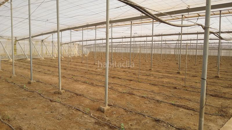 Foto daddb30a-61fa-4ce4-9e65-f06d3e9a218d. Finca rústica a San Isidro - Campohermoso Níjar