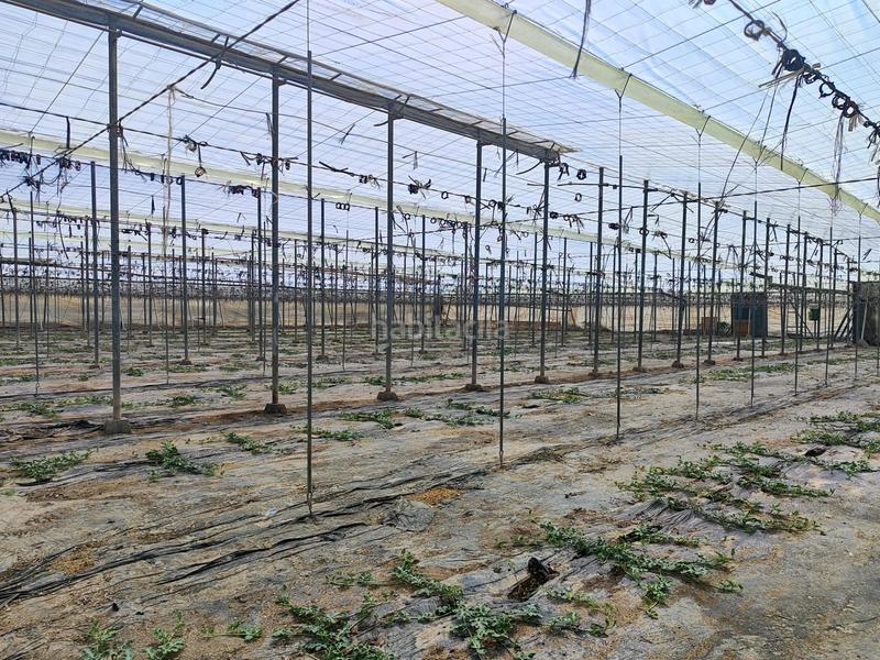 Foto b8f52ce9-9968-4230-b155-0b0775b7b68d. Fondo rustico in San Isidro - Campohermoso Níjar