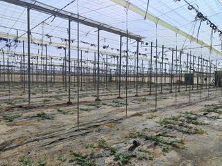 Wohngrundstück in San Isidro - Campohermoso. Terreno rústico en venta en san isidro.