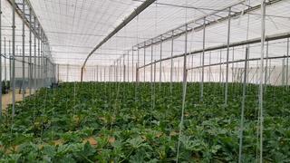 Terreny residencial a Nijar Pueblo. Terreno rústico en venta en níjar.