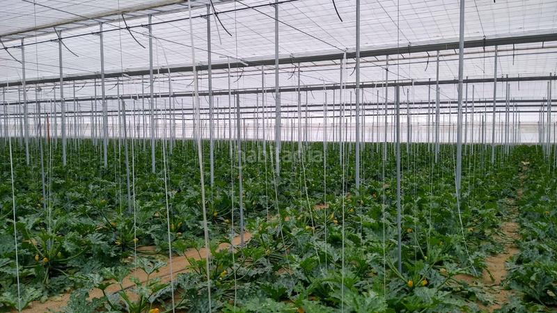 Foto 88668140-4ade-402c-a873-7d6d238d7071. Rural plot in Nijar Pueblo Níjar