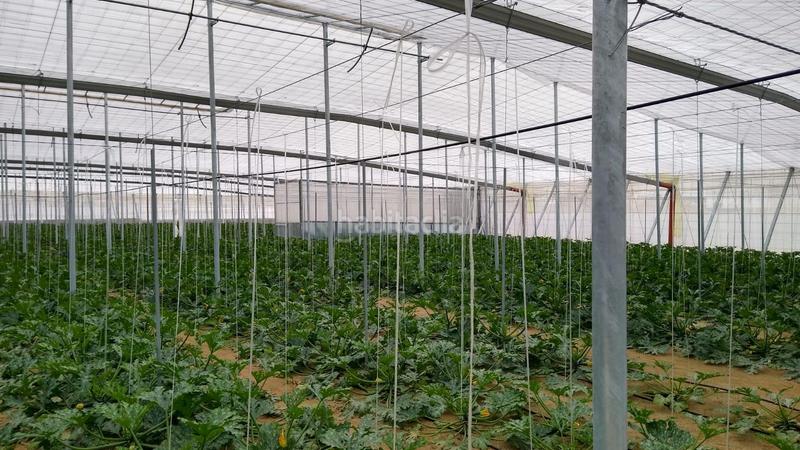 Foto bd8f6e4e-3534-4ea8-a5be-1dc947373896. Rural plot in Nijar Pueblo Níjar