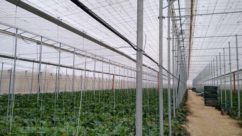 Foto daada2bc-044d-4d31-8979-2dab9c8dfc0e. Rural plot in Nijar Pueblo Níjar