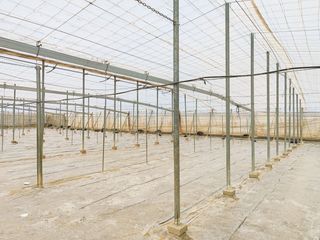 Masía en San Isidro - Campohermoso. Finca rúst. en venta en níjar.
