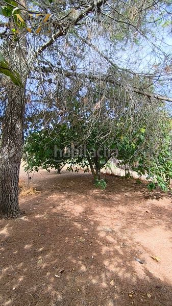 Foto 39b57f0d-e34b-4615-8b8f-8b6620fac3c8. Terreny residencial a Borox