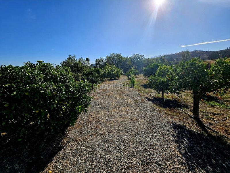 Foto 3c2d1b59-f8b0-47b8-b6bf-b58b30467c13. Chalet in Coín