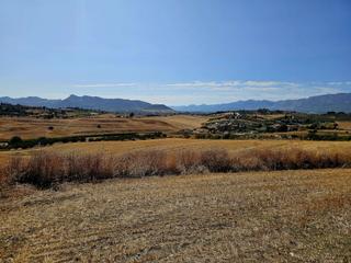 Bauernhof in Cártama