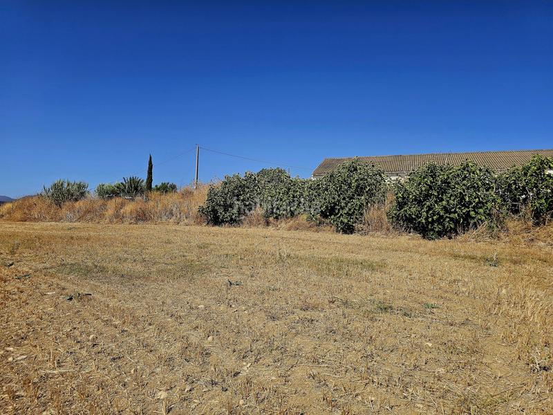 Foto 2ff00d19-6005-47e7-a696-f151c4dfbc9f. Mas dans Cártama