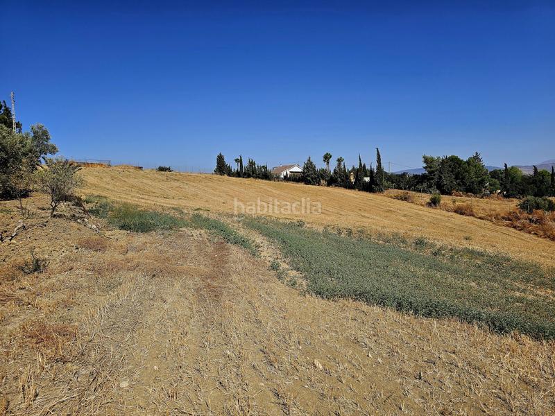 Foto 3a40c4ad-df2d-4a19-a8d0-f1464505e3a5. Mas dans Cártama