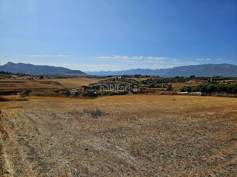 Foto 4503b2bb-c2a7-4999-94a3-684d596f755d. Mas dans Cártama