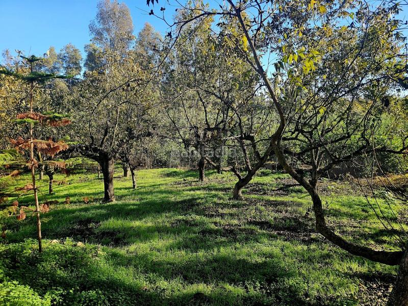 Foto 629d6bb5-d1a9-46c0-9ac7-9f957442dd04. Masía en Coín