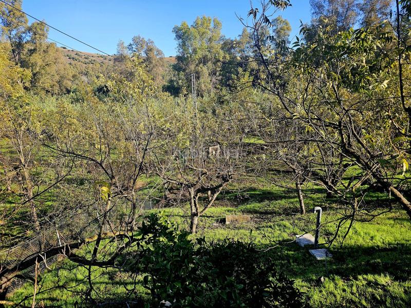 Foto d31c7f18-de70-4766-8e0f-e454a29c86f9. Masía en Coín