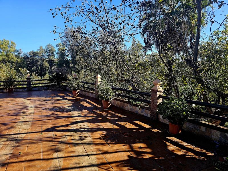 Foto e9718da5-2d7a-48bf-91d4-29bafdceeb01. Masía en Coín