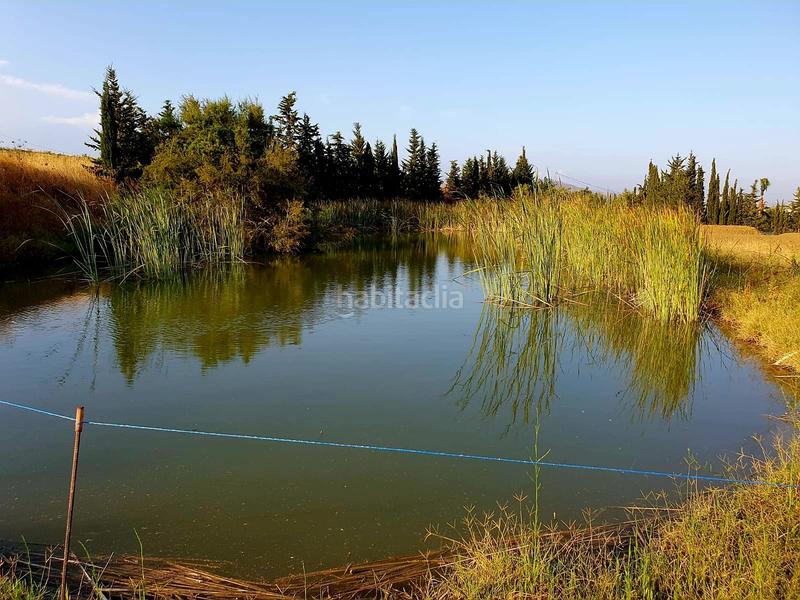 Foto 274afd3f-fb67-48e8-abc4-9ba799ec4e06. Bauernhof in Cártama