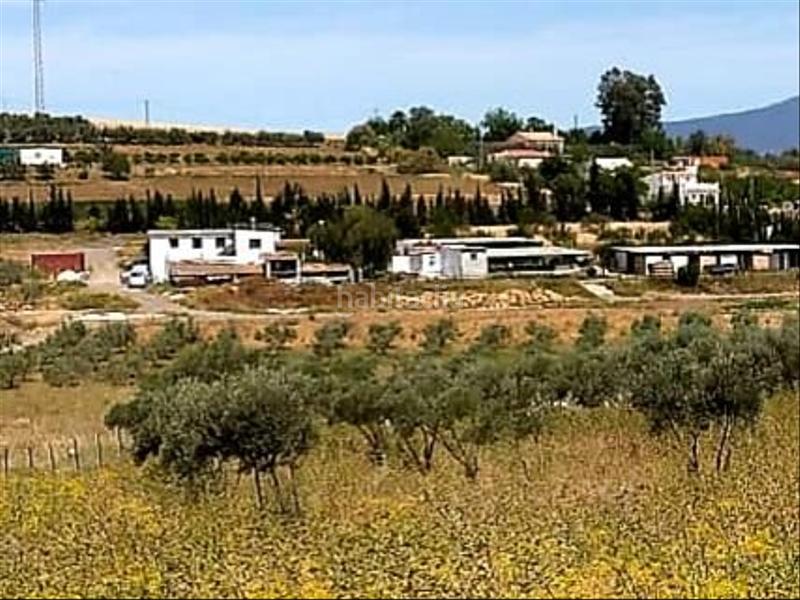 Foto 2daa82ae-f849-4c29-b863-f26a317974d0. Bauernhof in Cártama