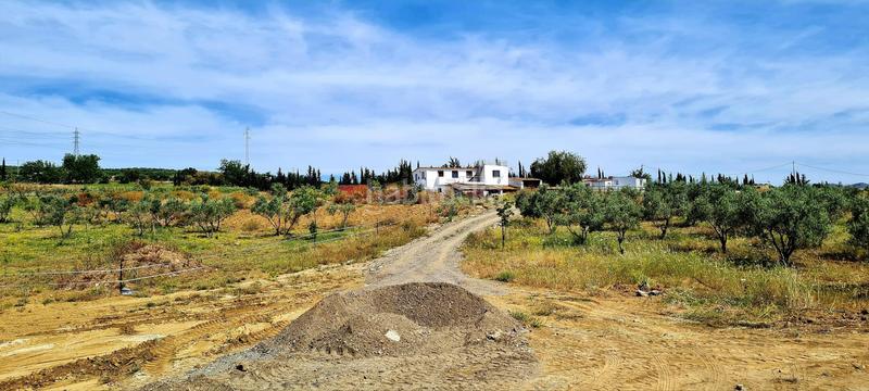 Foto 2fa3bc96-6495-4582-9205-3af3039cbc07. Bauernhof in Cártama