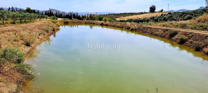 Foto 7802fc92-5bcb-491a-a3bf-936f40925048. Bauernhof in Cártama