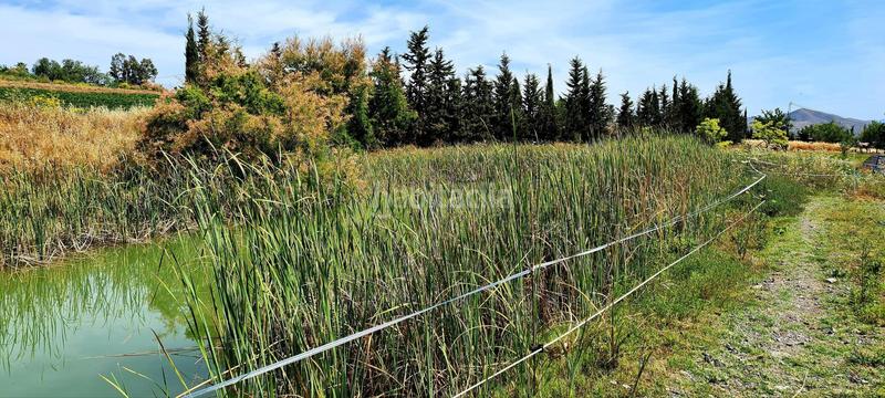 Foto aea8b3c6-ef63-4ce8-a93b-bfeb6d51dae4. Bauernhof in Cártama