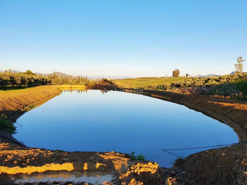 Foto ba53c280-5fbe-4f6b-8925-5fa0f6ce717d. Bauernhof in Cártama