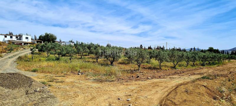 Foto c191443e-23a1-42a5-b35c-c6808e3a601e. Bauernhof in Cártama