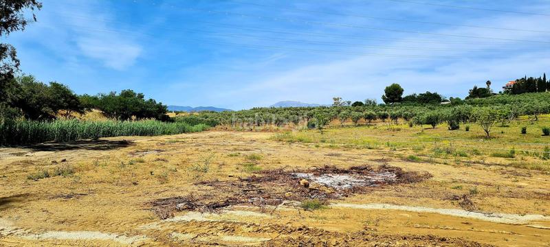 Foto c6456b8c-a3a9-43e0-bfbe-8ef03332e0cf. Bauernhof in Cártama