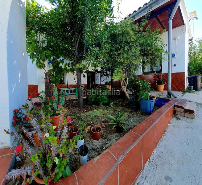 Foto dcd7d029-1f67-4666-b376-763e5d3e71d1. Bauernhof in Cártama