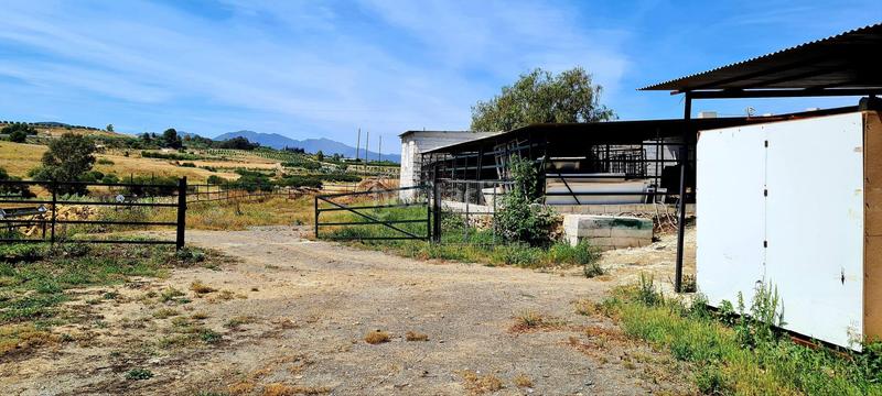 Foto e4d1537e-8f70-4f3d-8ff7-1ad6edd69928. Bauernhof in Cártama