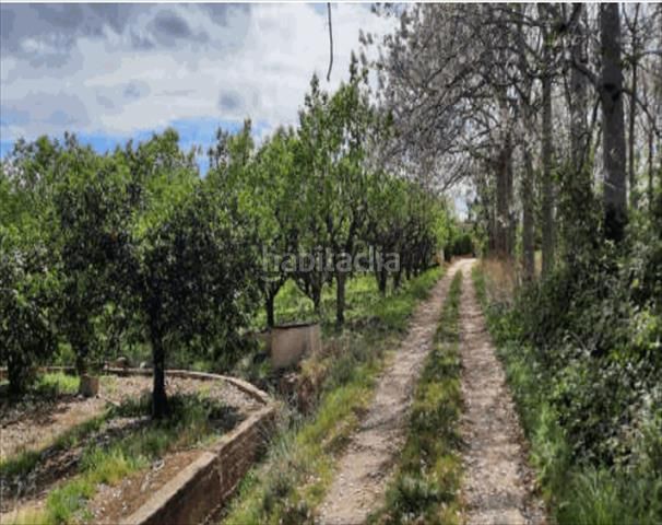 Foto 5c13a756-7a08-4c79-875d-4dc37074f6e0. Finca rústica a Urbanitzacions i Pedanies Nord Alzira
