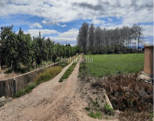 Foto 7f5423cd-8baf-473e-a5c0-62d3819c7b54. Finca rústica a Urbanitzacions i Pedanies Nord Alzira