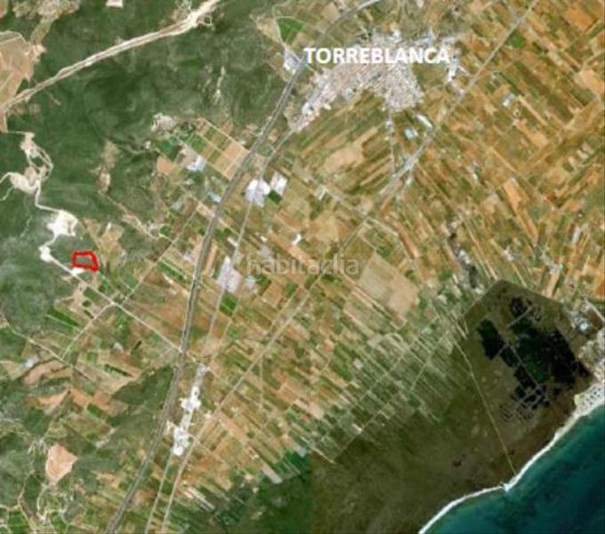 Foto 37759925-8694-4531-93bf-ec760b22dcad. Fondo rustico in Torreblanca