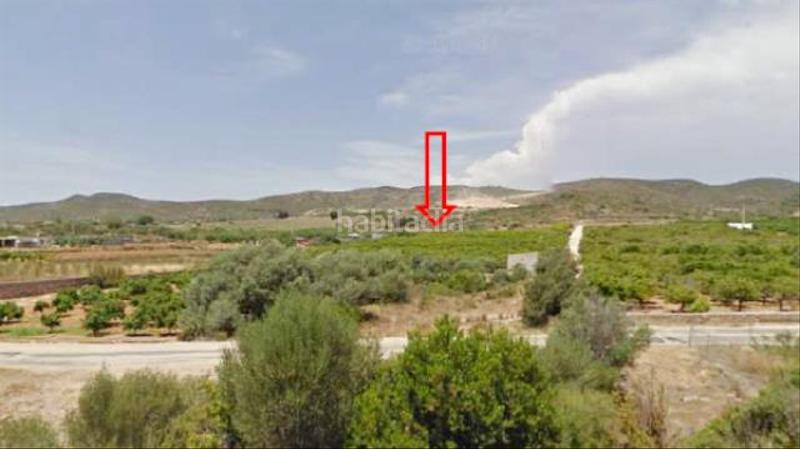 Foto f45eeb67-47d8-4ac8-a519-f40fac171b8b. Fondo rustico in Torreblanca