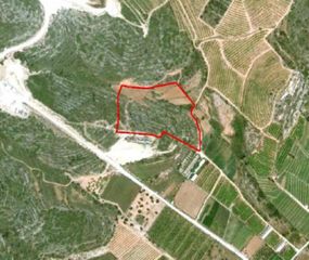 Rural plot in Torreblanca