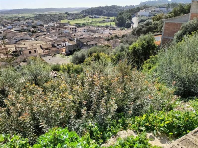 Foto 5dee9b5b-3eca-4398-b5ed-33e531a417d2. Terreny residencial a Sant Joan