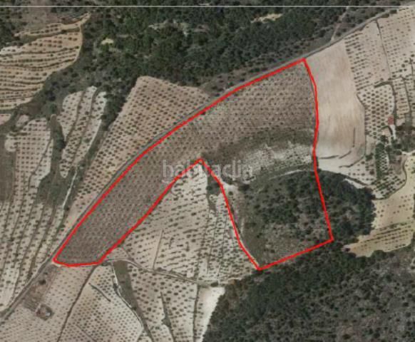 Foto 57271624-4dbd-4406-89a4-f0e71279b65d. Finca rústica en Biar