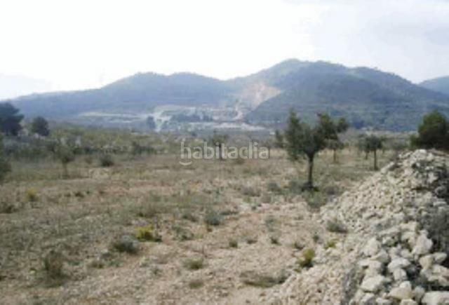 Foto ddeb97eb-412c-459b-8c1e-967f20d3f13c. Finca rústica en Biar