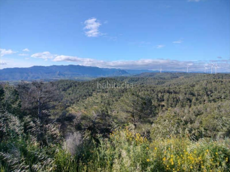 Foto 629a726c-e764-492c-b61c-dcd04be7c724. Finca rústica a Bot
