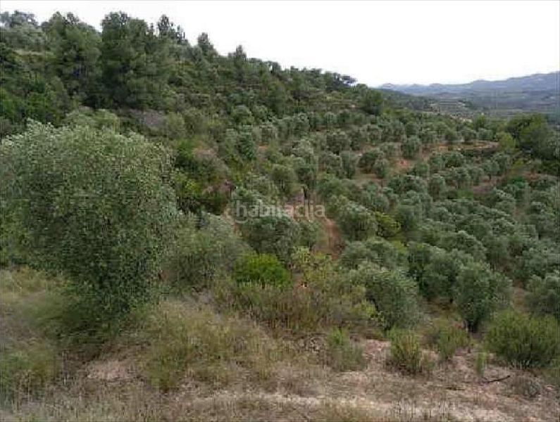 Foto 10b2d240-9484-4126-9384-a288269ecb39. Finca rústica en Bovera